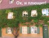 010.jpg
