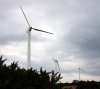 wind.sized.jpg