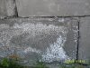 SDC104671.JPG