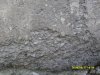 SDC10469.JPG