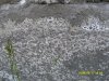 SDC104681.JPG