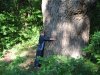 IMG_0114.jpg