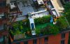 rooftops_1.jpg