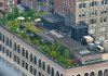 rooftops_9.jpg