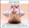 Рисунок10.jpg