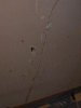 DSC02730.JPG