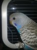 21082010094.jpg