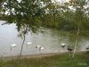 IMG_2492.JPG