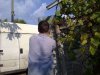 11102010252_thumb.jpg