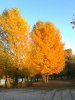 Фото0328_thumb.jpg