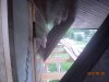user12234_pic9267_1276861940.jpg