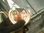 IMG0020A.jpg
