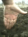 IMG0041A.jpg