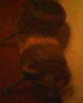 IMG0006A.jpg