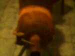 IMG0020A.jpg