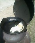 IMG0038A.jpg