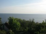 IMG_0395.jpg