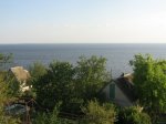 IMG_0398.jpg
