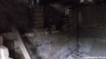 DSCF4822.jpg