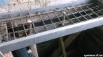 DSCF5357.jpg