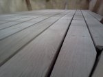 IMG1400.jpg