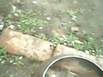 IMG0048A.jpg