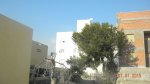 DSCN4925.JPG