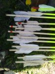 IMG_20150512_164440.jpg