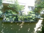 Фото0672.jpg