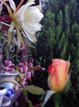 P2010005.JPG