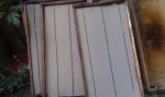 IMAG0169.jpg