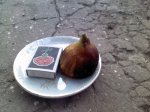 IMG010.jpg