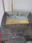 DSC01630.JPG