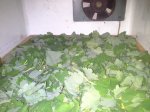 20150519_140521.jpg