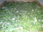 20150519_140321.jpg