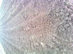 Фото0185.jpg