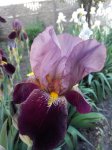 2015522190524.jpg