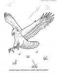 179ec6f88031.jpg