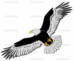 depositphotos_4904495-Flying-Eagle.jpg
