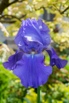 upload_2015-6-1_3-2-35.png