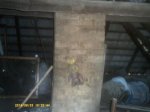 DSCF0041.JPG