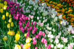 upload_2015-6-4_0-50-12.png