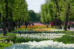 upload_2015-6-4_16-34-3.png