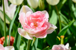 upload_2015-6-4_16-36-57.png