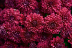 upload_2015-6-5_14-37-48.png