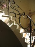 IMG_6781.jpg