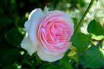 upload_2015-6-12_16-29-34.png