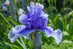 upload_2015-6-15_1-37-0.png