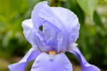 upload_2015-6-15_22-51-47.png