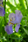 upload_2015-6-17_13-22-8.png